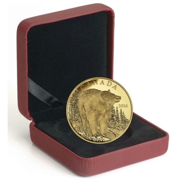 2016 $350 The Bold Black Bear - Pure Gold Coin.  No outter box.  Tax Exempt.