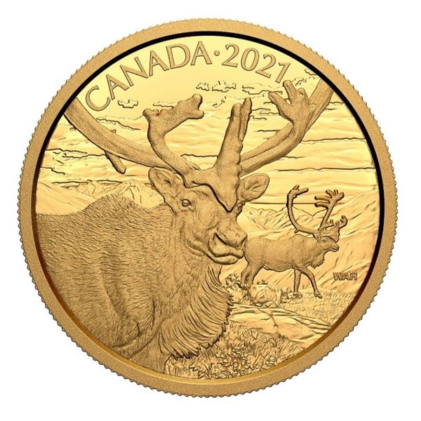 2021 $350 Canadian Wildlife Portraits: The Caribou - Pure Gold Coin.  Tax Exempt.