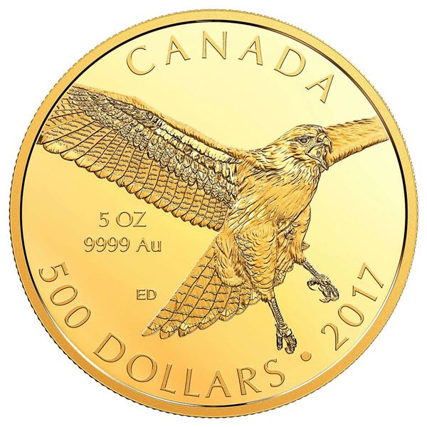 2017 $500 Red Tailed Hawk - Pure Gold Coin.  Tax Exempt.