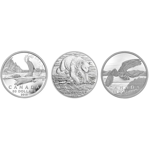 2015 $50 for $50 Beaver(5), 2014 Iconic Polar(5), Snowy Owl - Pure Silver Coin(8).  Lot of 18 coins.