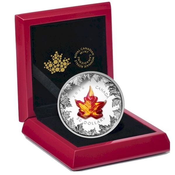 2016 $50 Venetian Glass Maple Leaf: Autumn Radiance - 5-oz. Pure Silver Coin.  Tax Exempt.