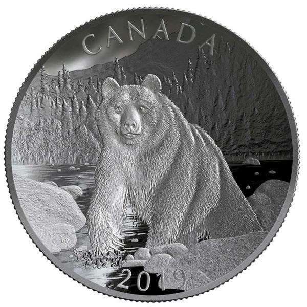 2019 $100 Nature's Grandeur: Brown Bear - Double Concave Pure Silver Coin.  No outter box.  Tax Exem