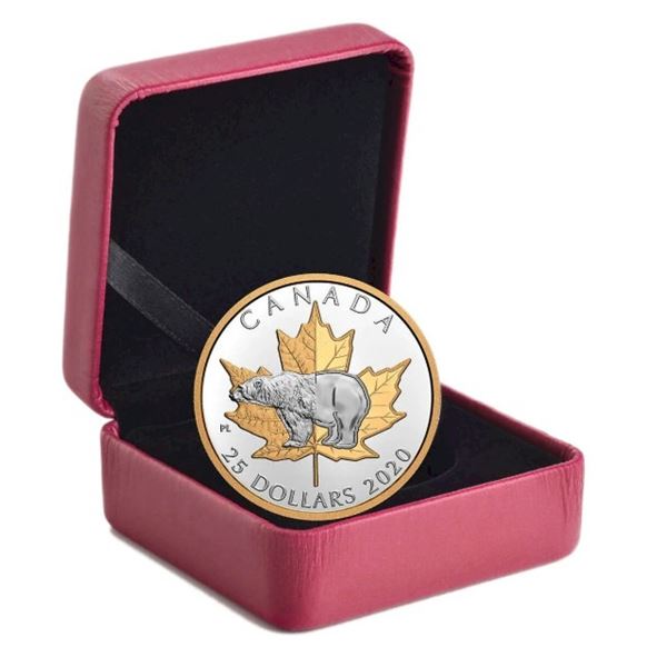 2020 $25 Timeless Icons: Polar Bear - Pure Silver Piedfort Coin.  No Box.  Tax Exempt.