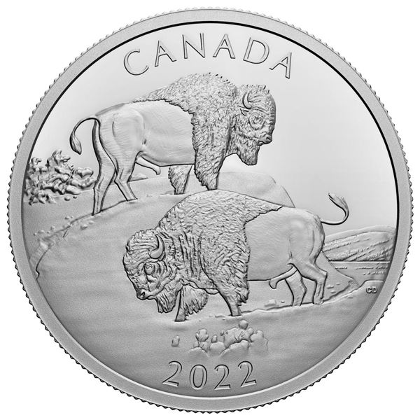 2022 $30 The Mighty Bison - Pure Silver Coin.  Tax Exempt.