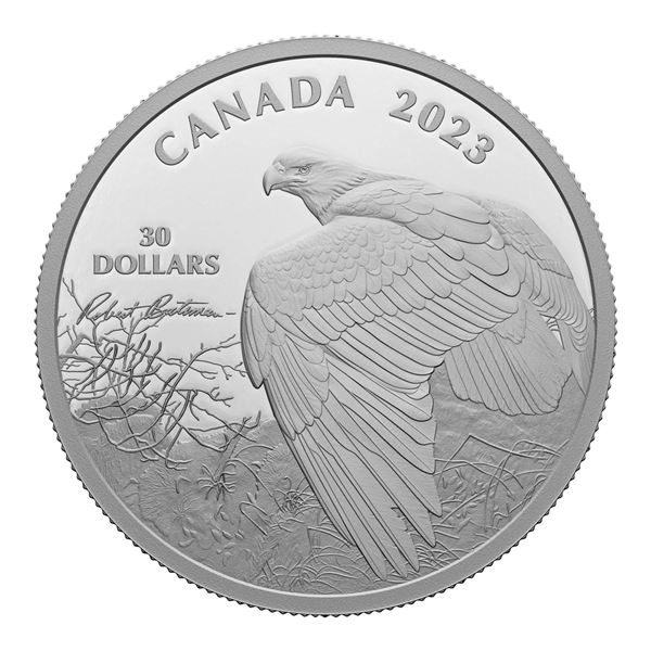 2023 $30 Vantage Point - Bald Eagle, By Robert Bateman - Pure Silver Coin.  Tax Exempt.
