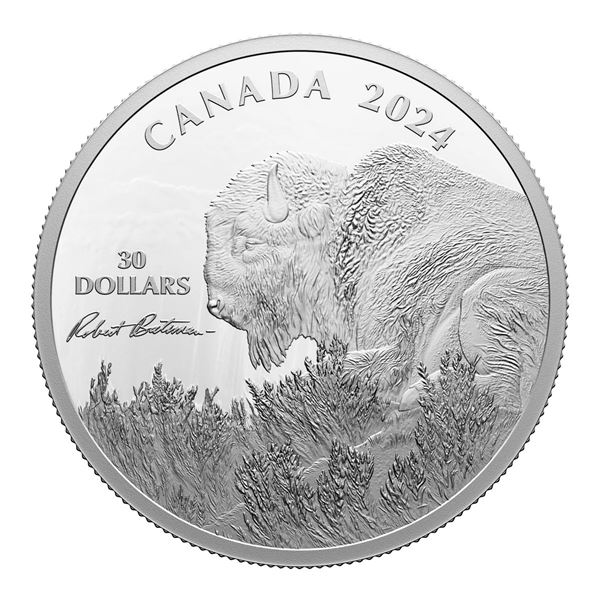 2024 $30 Weather Watch: Bison, by Robert Bateman - Pure Silver Coin.  Tax Exempt.