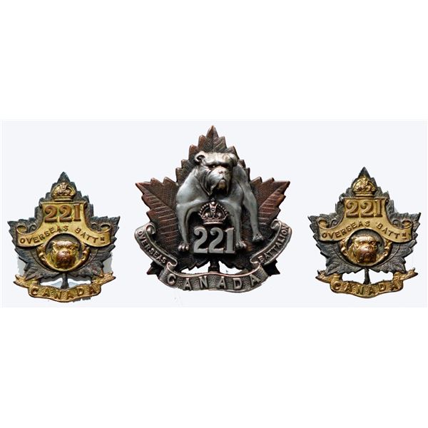 Militaria Insignia C.E.F. WW1; 221st Battalion (Winnipeg. Manitoba) Officer'S Cap  & Collar Badges. 