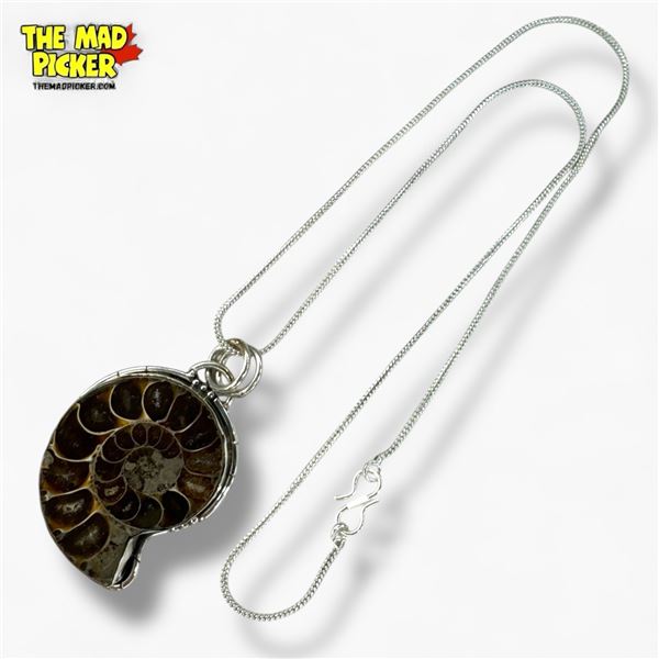 New Sterling Silver Ammonite Fossil Necklace - (24 x 40 mm Ammonite on 20" chain)