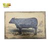 Image 1 : Vintage Angus Cow Print on Burlap Canvas 16x11 Inch Farmhouse Decor
