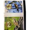 Image 1 : Worldwide Wildlife Collection of Covers / Postcards