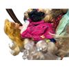 Image 3 : Vintage Barbie Dolls with Clothing and Accessories in Basket Assortment