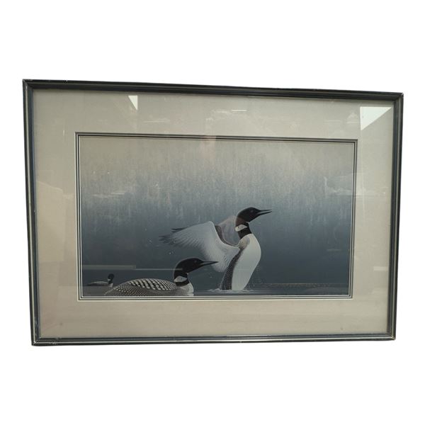 Great Northern Dives Print Elizabeth Scott Limited Edition 53/175 35.5x24.5