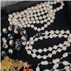 Image 4 : Collection of Fashion and Costume Jewelry (Necklaces, Faux Pearls, Earrings & Bracelet) - Display Tr