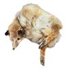 Image 1 : Soft Mount Taxidermy Fox 44-Inch Long Excellent Condition