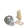 Image 1 : Decorative Skull and Voltaren Anatomical Model