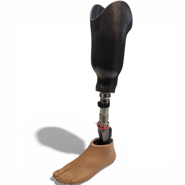 Ottobock Titan 2R37 Left Prosthetic Leg 21-Inch Long