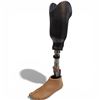 Image 1 : Ottobock Titan 2R37 Left Prosthetic Leg 21-Inch Long