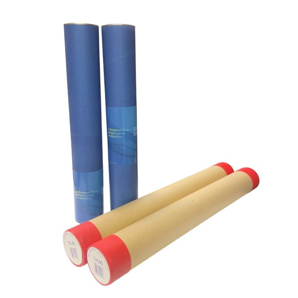 4 pc - Canada Post Limited "Year of The Rabbit" Stamps in Posters & "Endangered Whales"