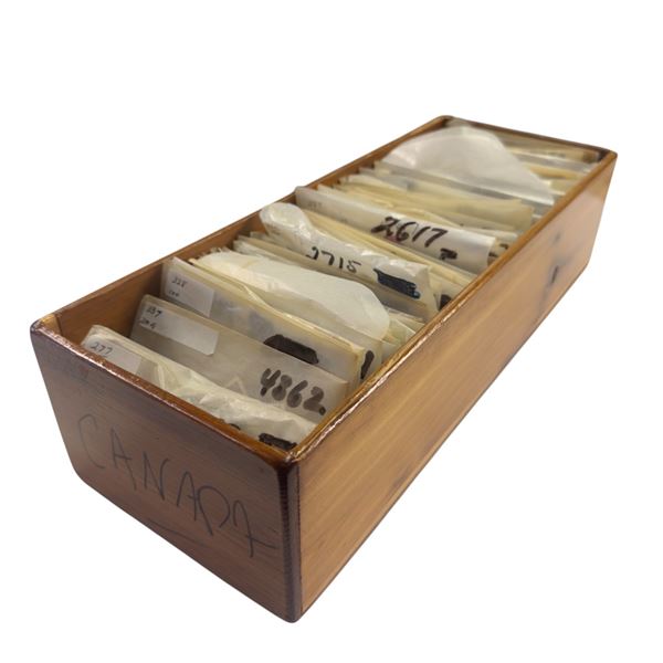 Collectable Vintage Canadian Stamps Organized in Envelopes