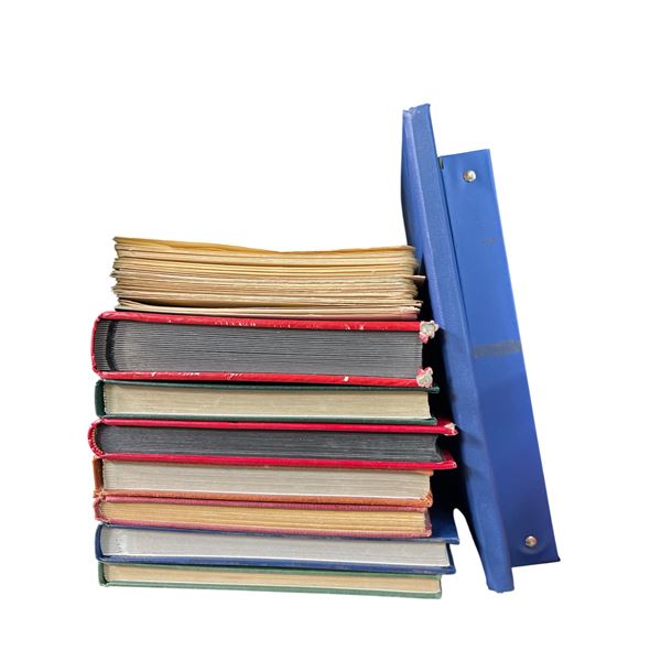 Vintage Worldwide Stamps in Illustrated Albums - Organized & Catalogued