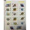 Image 5 : Very Good Collection of Sharjah Stamps - Catalogued w/ Scott Number, Etc.
