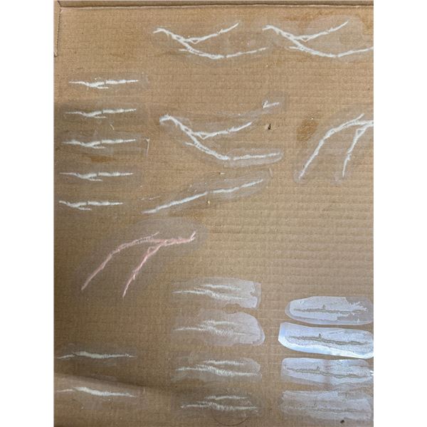 Box of Movie Prop Scars: Thin, Very White, Pink - From Bill Terezakis