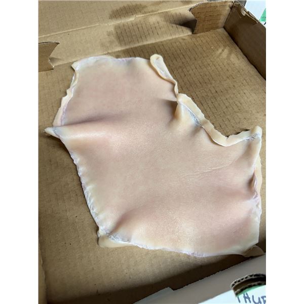 Box of Extra Silicone Pieces Movie Prop - From Bill Terezakis