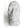 Image 1 : "The Rock" Face Mold - From Bill Terezakis
