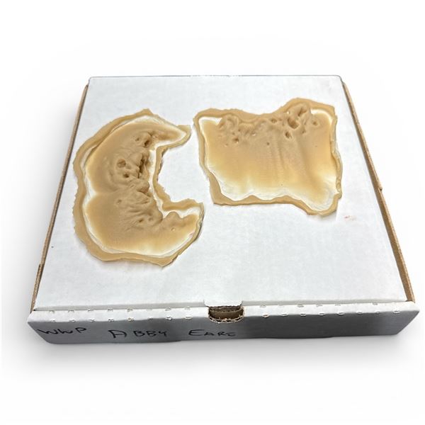 Screen Used Prop - WWP Abby Ears - From Bill Terezakis