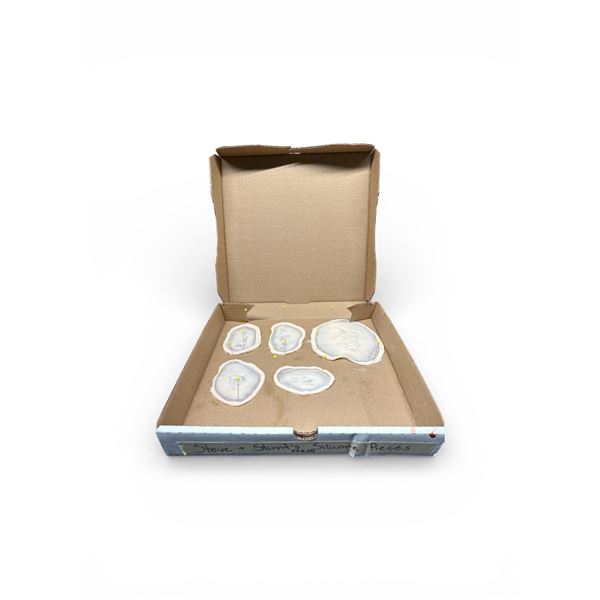 Steve + Stunt Silicone Pieces Fresh