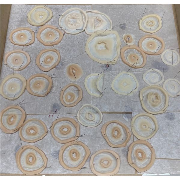 Plasma Wounds (Dark + Light Skin) w/o Flashing (AC) Movie Prop