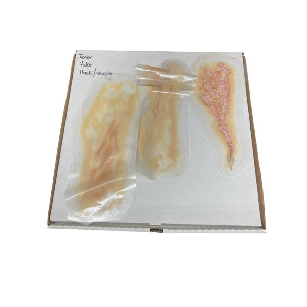 Screen Used Prop - Large Group