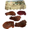 Image 1 : Group of Movie Prop Food - Eggs & Steak/Meat