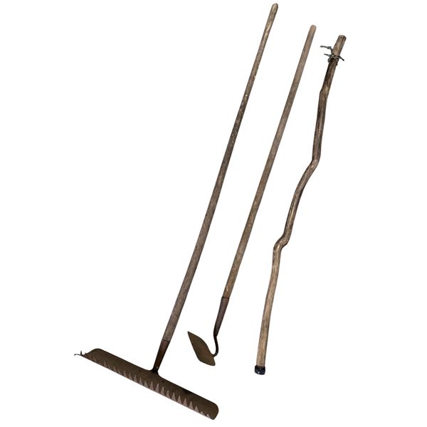 Group of Hoe, Rake & Walking Stick