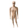 Image 2 : Full-Body Male Display Mannequin