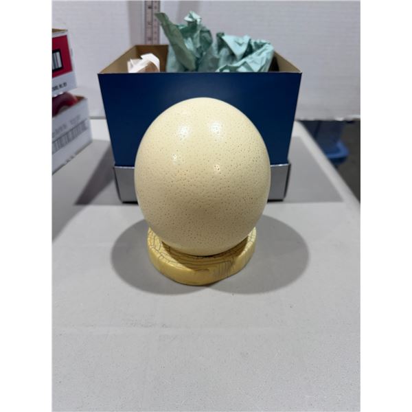 Ostrich egg with stand