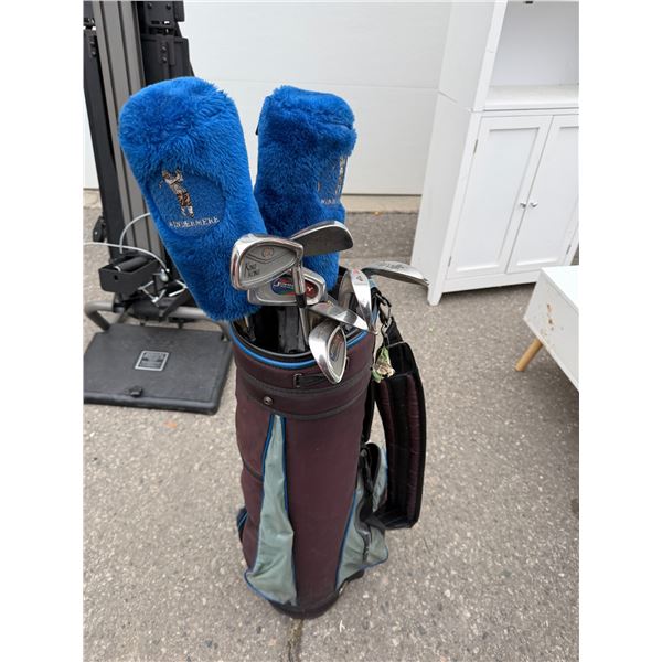 Golf clubs and bag