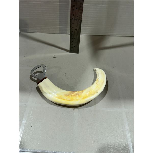 warthog tusk bottle opener