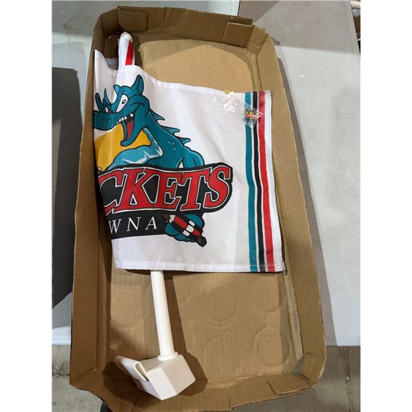 Rockets flag and pin