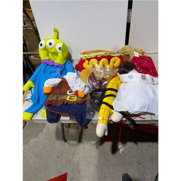 Assorted pet costumes