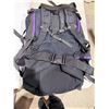 Image 2 : The Northface hiking backpack