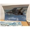 Image 9 : 11 Aviation Airplane Photographs - see all photos for details
