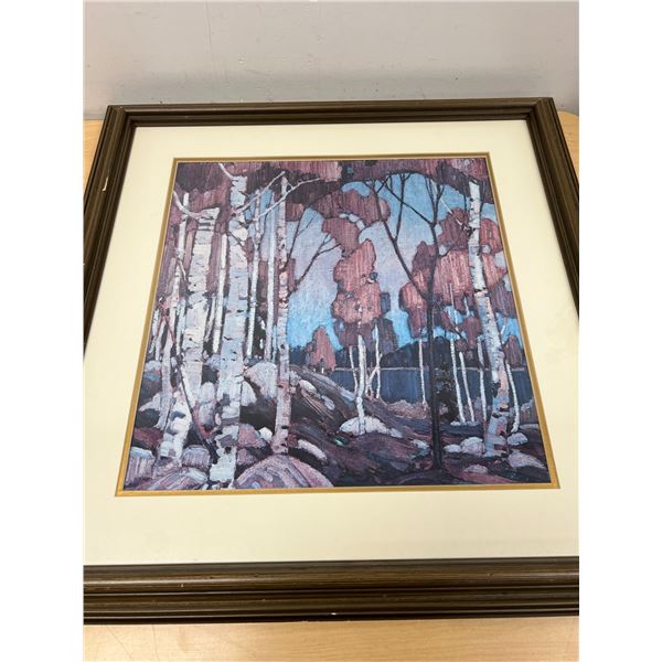 Tom Thomson Decorative Landscape, Birches - Large Frame Approx: 27.5x26.5" see all photos