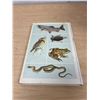 Image 7 : Signed Animals of Manitoba 158 pgs - see all photos