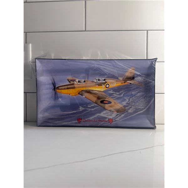 Classic Airframes 1:48 scale Fairey Battle Trainer Sealed