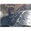 Image 18 : DUNCAN - 2011 HYUNDAI SONATA, GRAY, 218007 KMS, FRONT WHEEL DRIVE. - J032350