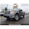 Image 1 : DUNCAN-2010 FORD F-150 196402KMS 4x4 D152184