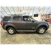 Image 11 : PARKSVILLE - 2008 FORD ESCAPE GREY 131508 MILES - DB90936