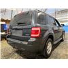 Image 14 : PARKSVILLE - 2008 FORD ESCAPE GREY 131508 MILES - DB90936
