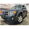 Image 1 : PARKSVILLE - 2008 FORD ESCAPE GREY 131508 MILES - DB90936